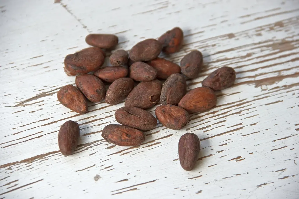 Fèves de cacao torréfiées sur une table en bois