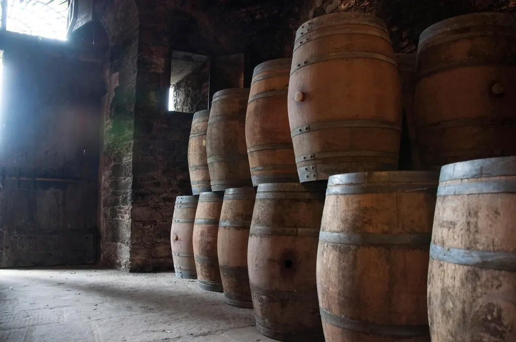 Fûts de chêne alignés dans la cave